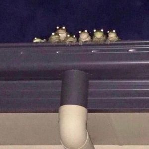 Meet your Posher, Nitima